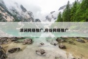 清涧网络推广,府谷网络推广
