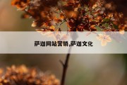 萨迦网站营销,萨迦文化