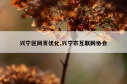 兴宁区网页优化,兴宁市互联网协会