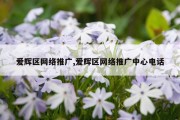 爱辉区网络推广,爱辉区网络推广中心电话