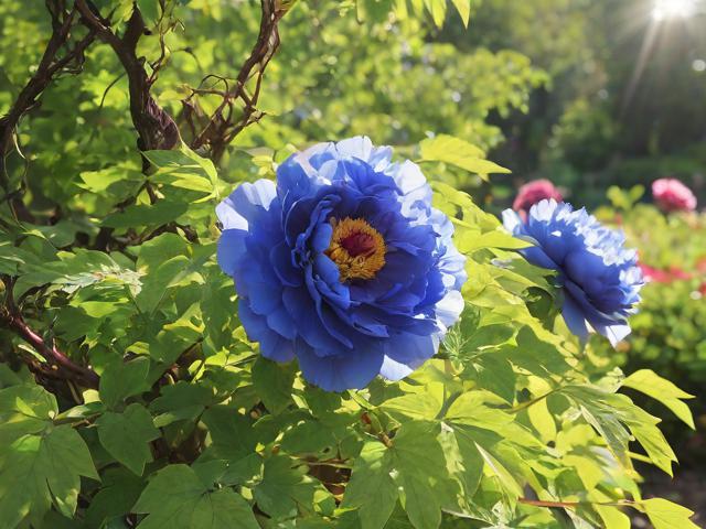 万年青花怎么养,万年青花怎么养殖方法